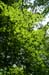 PICT2930